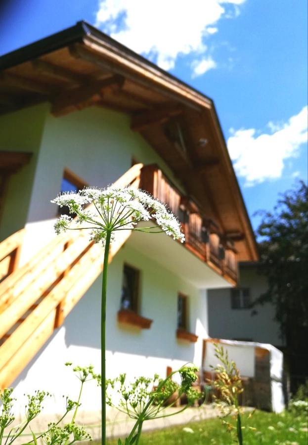 Ferienwohnung Auenheim Innervillgraten Extérieur photo